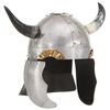 vidaXL Vikingų &scaron;almas, sidabrinis, plienas, fantastinis