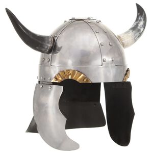 vidaXL Vikingų &scaron;almas, sidabrinis, plienas, fantastinis
