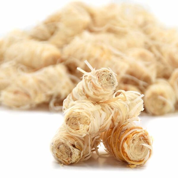 vidaXL BIO Uždegimo ritinėliai, 5kg