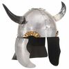 vidaXL Vikingų &scaron;almas, sidabrinis, plienas, fantastinis