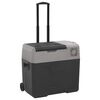 vidaXL &Scaron;altdėžė su ratukais ir rankena, juoda ir pilka, 30l, PP
