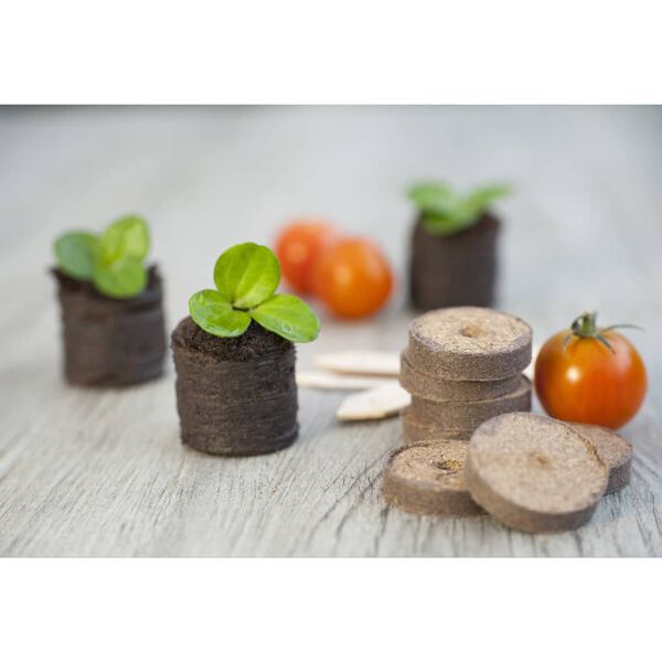 Nature Daigyklos rinkinys, 106 dalių