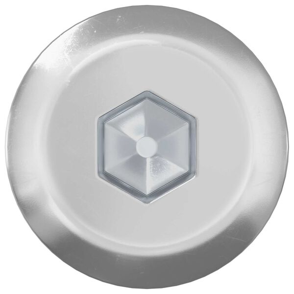 vidaXL Baldų varžtai 800 pcs Sidabro Plienas