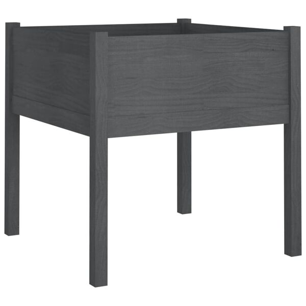 vidaXL Sodo loveliai, 2vnt., pilki, 70x70x70cm, pušies masyvas