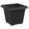 vidaXL Kvadratinis gėlių vazonas 6 pcs Juoda 16 x 16 x 14 cm Plastmasė