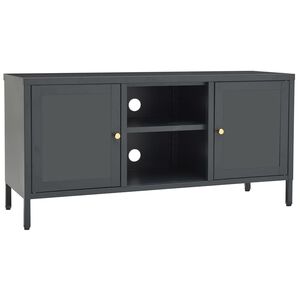vidaXL Televizoriaus spintelė, antracito, 105x35x52cm, plienas/stiklas