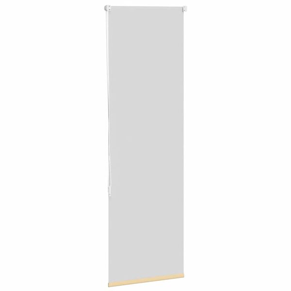 vidaXL roletas smėlio spalvos 60x150 cm audinio plotis 55,7 cm