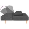 vidaXL Dvivietė sofa-lova su dvejomis pagalvėmis, pilka, audinys