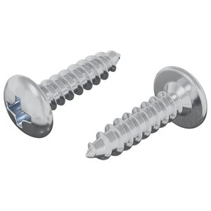 vidaXL Varžtas 2 pcs Sidabro M4 x 16 mm Plienas