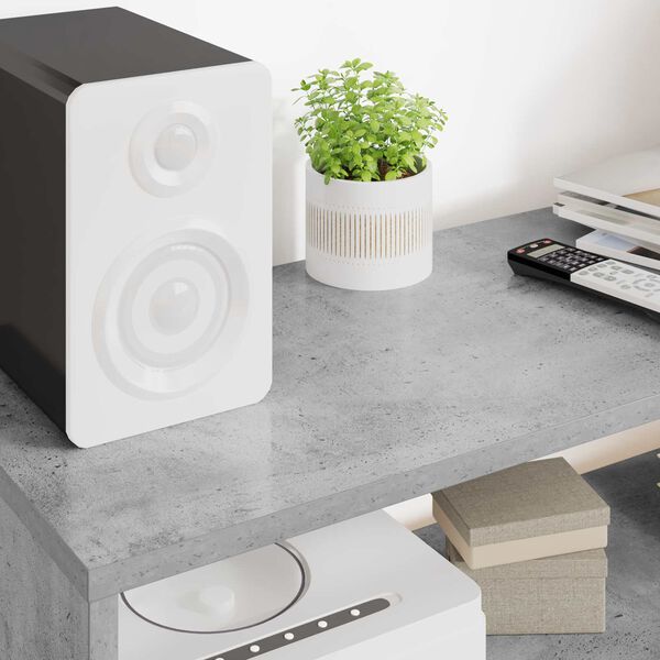 vidaXL Televizoriaus spintelė Betono pilka 100 x 30 x 40 cm