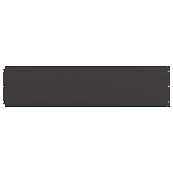 vidaXL vejos apvadai 10 vnt Juoda 25x103 cm Šaltai valcuotas plienas