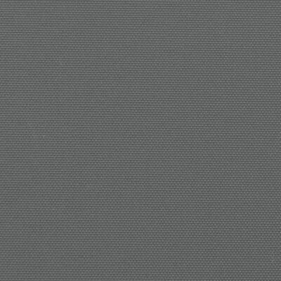 vidaXL Ištraukiama šoninė markizė, antracito spalvos, 140x300cm