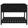 vidaXL Lovelis su lentyna, juodas, 111,5x111,5x81cm, pušies masyvas