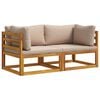 vidaXL Kampinė sofa su pagalvėlėmis 2 vnt. 2 vietos