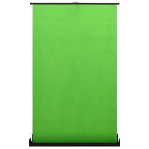 vidaXL Fotografinis fonas, žalios spalvos, 95", 4:3