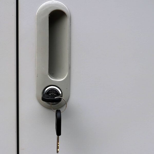 vidaXL Lokerio spinta Pilka 45 x 90 x 180 cm