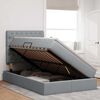 vidaXL Lova su daiktų laikymo vieta ir LED &Scaron;viesiai pilka 120 x 190 cm