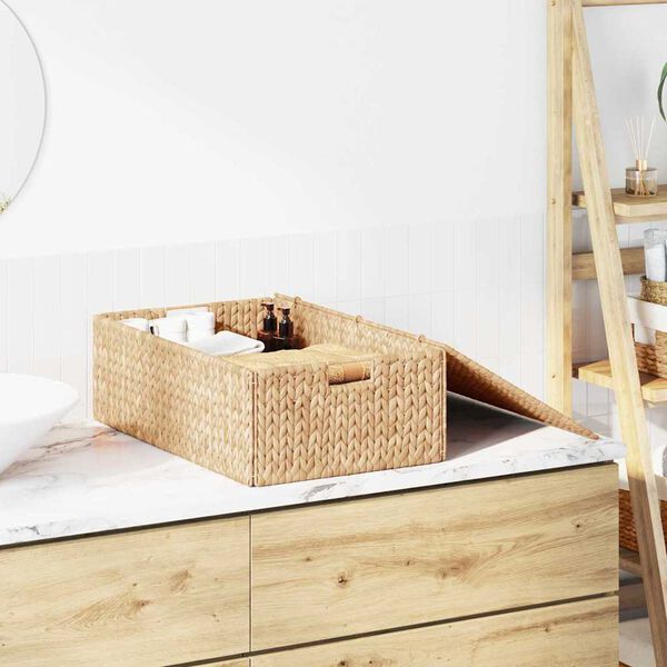 vidaXL Saugojimo dėžė Ruda 60 x 38 x 20 cm Vandens hiacintas