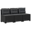 vidaXL 3-vietė sodo sofa su pagalvėlėmis, Rattan i&scaron;vaizda PP Antracito