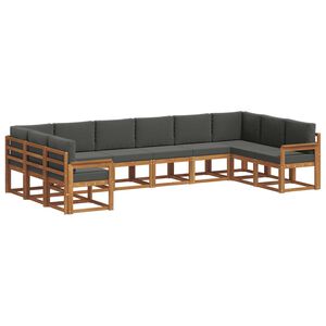 vidaXL Lauko sofos komplektas 10 pcs Natūralus ir antracitas