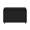 vidaXL Sodo pakojos su pagalvėlėmis, 2vnt., juodos, poliratanas