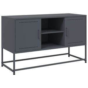 vidaXL Televizoriaus spintelė, antracito, 100,5x39x60,5cm, plienas
