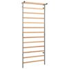 vidaXL Gimnastikos sienelė, 90x30x236cm, montuojama viduje