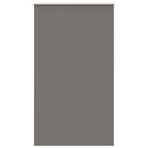 vidaXL roletas smėlio Pilka 125x230 cm audinio plotis 121,6 cm