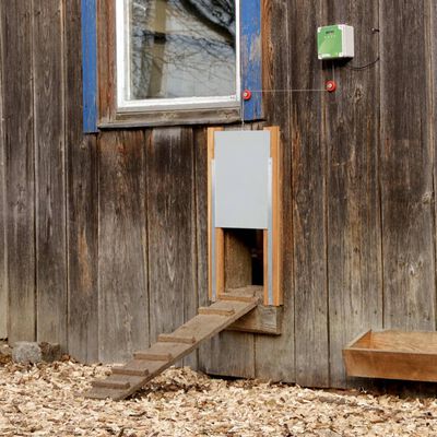 Kerbl Stumdomos viščiukų narvo durys, 43x40cm