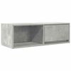vidaXL Televizoriaus spintelė, betono, 80x31x25,5cm, apdirbta mediena