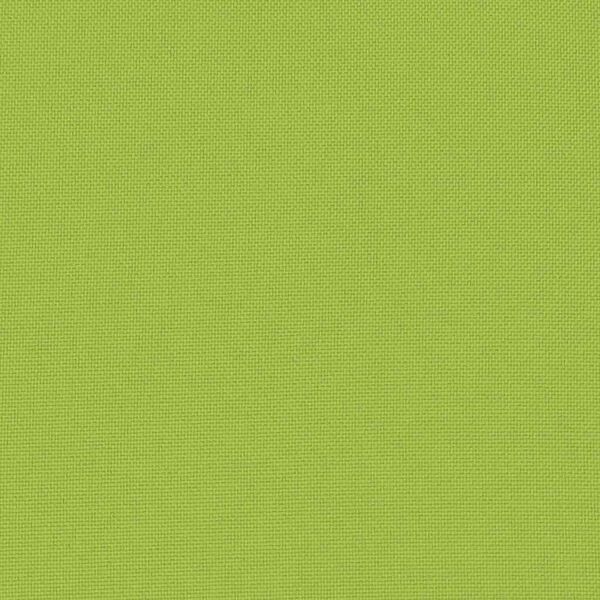 vidaXL Lauko pagalvės, 2 vnt., obuolio žalios spalvos, 60x40 cm