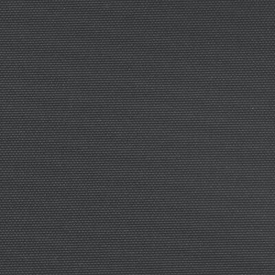 vidaXL Ištraukiama šoninė markizė, juodos spalvos, 220x600cm