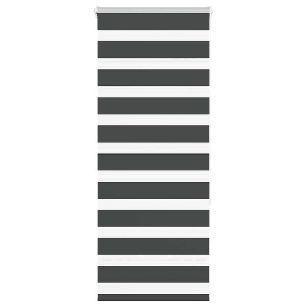 vidaXL zebrinės žaliuzės 55x150 cm audinio plotis 50,9 cm poliesteris