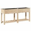 vidaXL Sodo vazonas Smėlio 161 x 43 x 76,5 cm Kietasis pu&scaron;inis medis