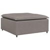 vidaXL Modulinė sofa, pakojų modulis, pilkai ruda, 100x100x48 cm