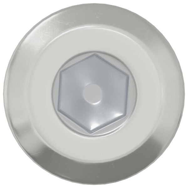 vidaXL Galvos užrakto varžtas 2 pcs Sidabro M6 x 15 mm Plienas