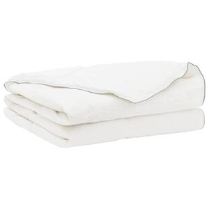 vidaXL Antklodė FULDA 200 x 200 cm Vasara 100 GSM 90% žąsų pūkai Balta
