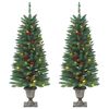 vidaXL Dirbtinės Kalėdų eglutės, 2vnt., žalios, 120cm, 100 LED