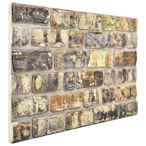 vidaXL Sienų plok&scaron;tės 10 pcs Įvairiaspalvis 100 x 50 cm EPS putos