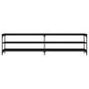 vidaXL Televizoriaus spintelė, juoda, 200x30x50cm, mediena ir metalas
