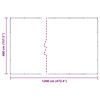 vidaXL Tentas Skaidrus 4 x 12 m PVC
