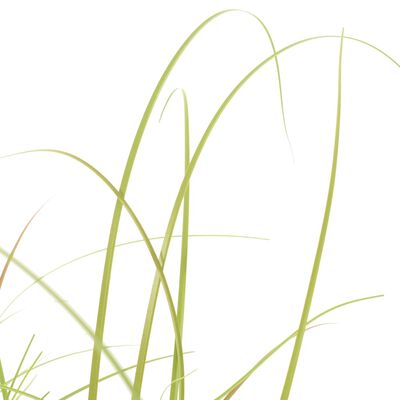 vidaXL Dirbtinis augalas - žolė, 95 cm