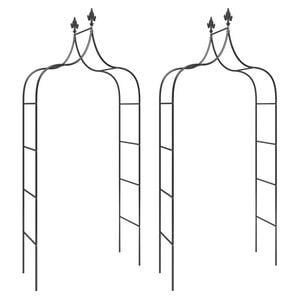 vidaXL Sodo arkos, 2vnt., juodos spalvos, 120x38x260cm, plienas