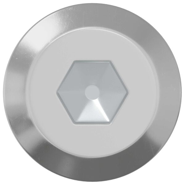 vidaXL Varžtas 12 pcs Sidabro M6 x 100 mm Plienas