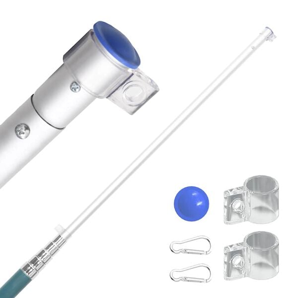 vidaXL Čekijos vėliava su stiebu, aliuminis, 5,55m