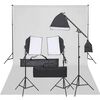 vidaXL Fotostudijos rinkinys su ap&scaron;vietimo rinkiniu ir fonu