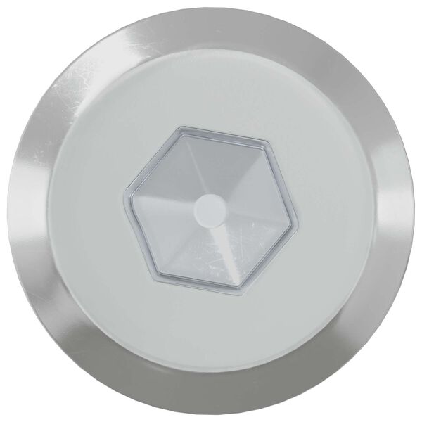 vidaXL Baldų varžtai 2 pcs Sidabro M6 x 60 mm Plienas