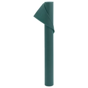 vidaXL Uždangalas augalams, 10x1,6m, 70g/m&sup2;