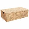 vidaXL Saugojimo dėžė Natūrali 60 x 38 x 20 cm Vandens hiacintas