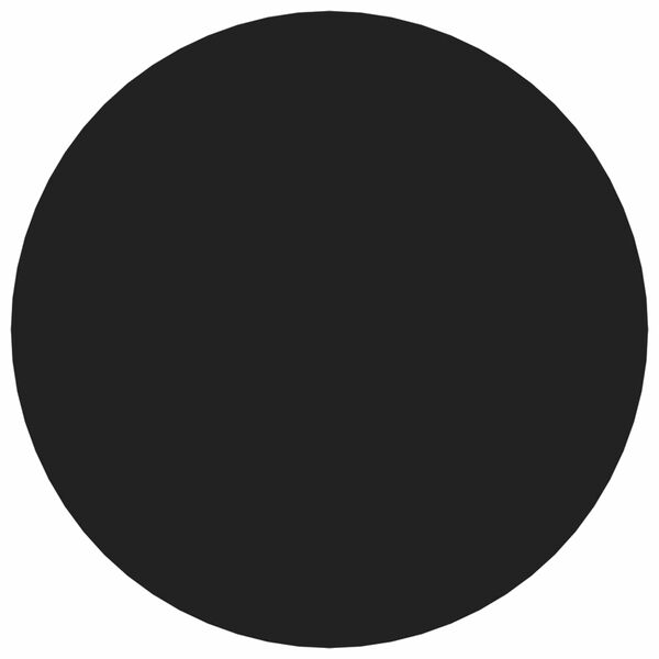 vidaXL Savistovaus Dangčio Varžtas 2 pcs Juoda &Oslash; 20 x 0,5 mm